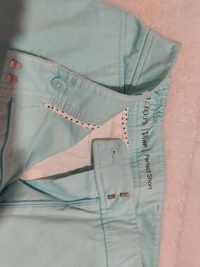 Talbots Light Aqua Women’s Short